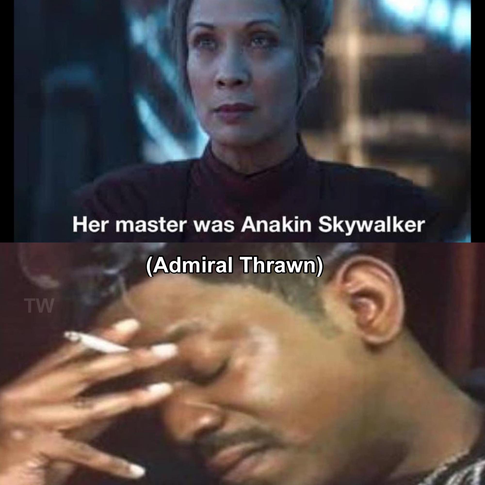 This meme is a humorous comparison between two iconic characters from the Star Wars franchise. It juxtaposes a quote from Princess Leia, "Help me, Obi-Wan Kenobi. You're my only hope," with a quote from General Leia Organa in the Disney Star Wars trilogy, "Help me, General Leia Organa. You're my only hope." The meme is captioned "When you think you're the original, but you're actually a reboot".